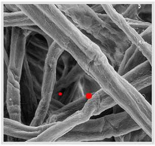 Traditional Cellulose Filter Media